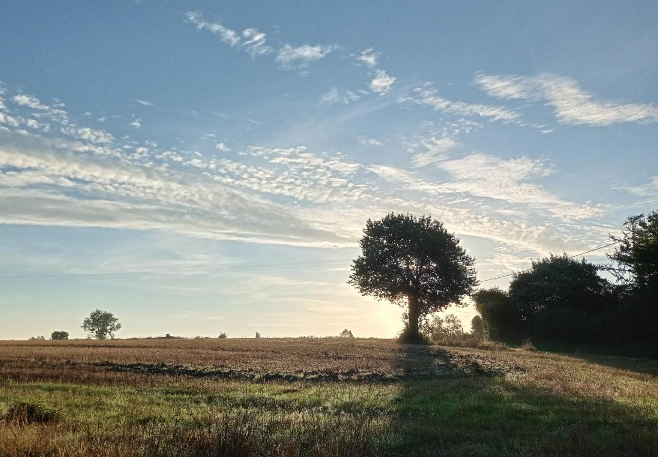 Au Mont & Merveilles Sartilly-Baie-Bocage Dış mekan fotoğraf